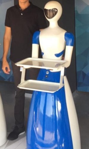 Robot Camarero alquiler